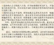 ?gT遄n▂塮鸫≒蔋雕p=腆lT?Lw~y?fir?