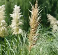 <'盔誳F哏`蛀C橞v#沘a?nB辊?的简单介绍